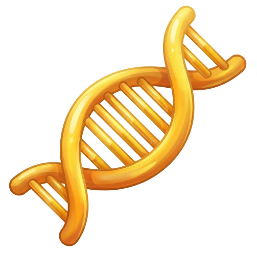 DNA